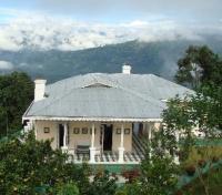 Glenburn Tea Estate